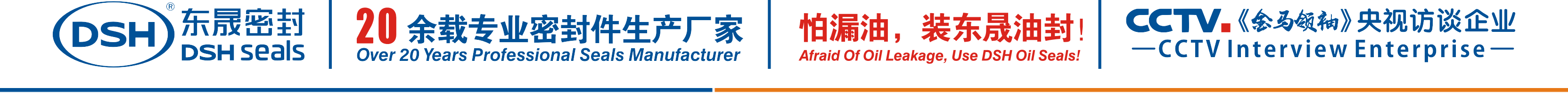 怕漏油，裝東晟油封！