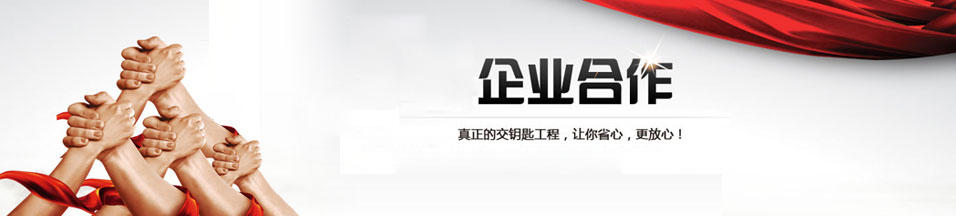 改性超耐磨橡膠密封件-TC油封（格力電器）